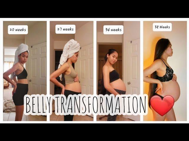 PREGNANCY TRANSFORMATION ( Week by Week ) || MichMorena