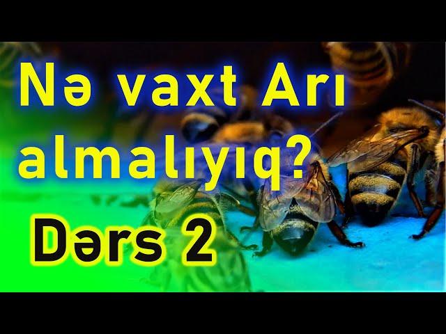 Arını nə vaxt almalıyıq?  | Sıfırdan Arıçılıq. DƏRS -2