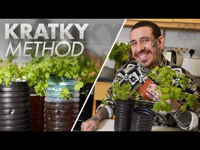 The easiest Hydroponic System | Kratky method