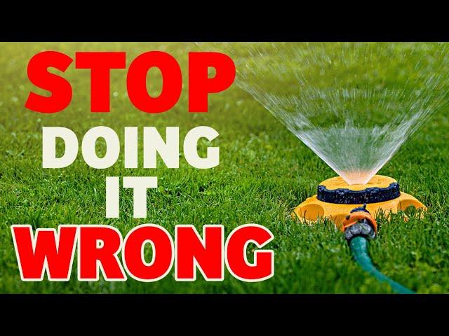 95% of people don't know how to water their lawns properly