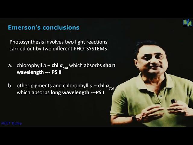 Emerson Effect