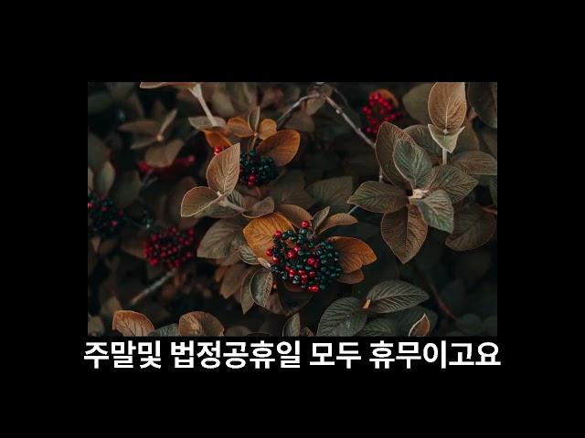 취업과창업(구인구직) - 오늘의취업정보(사무기술직)