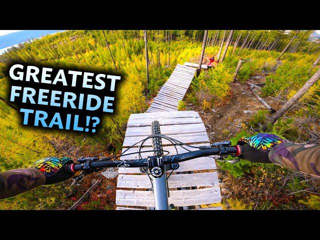 Riding and mastering a SUPER FUN Freeride Trail! - Casino Royale