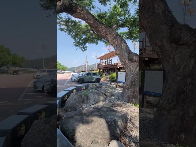 청송군 강변 주차장