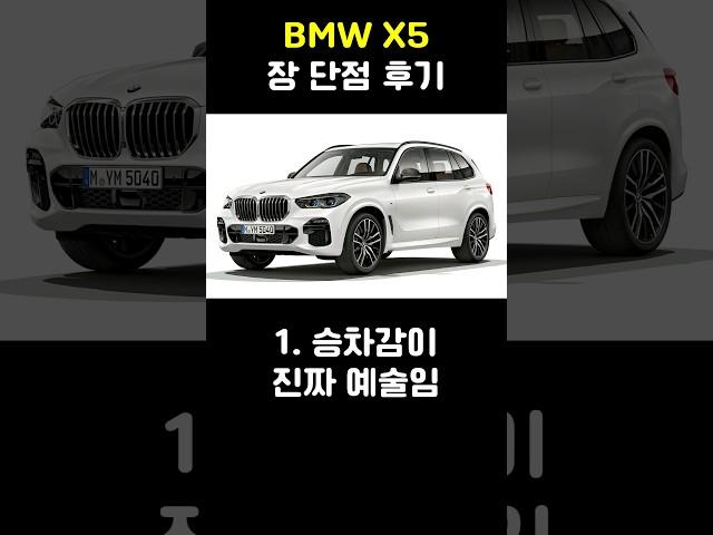 BMW X5 장단점 후기