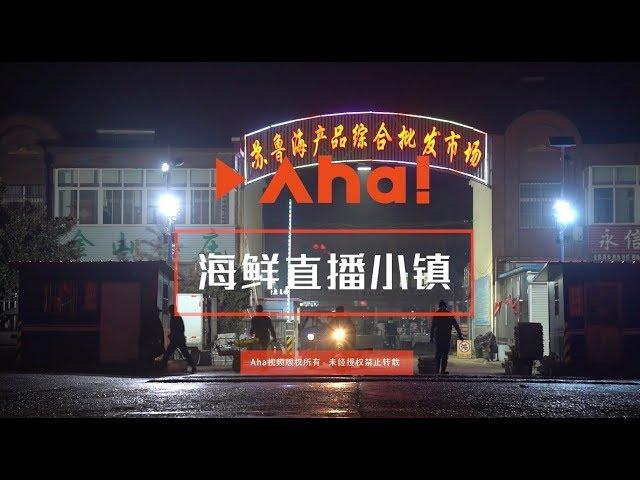 【Aha视频】央视点名的全网第一直播小镇：一年卖出数十亿海鲜，渔民变主播收入过百万