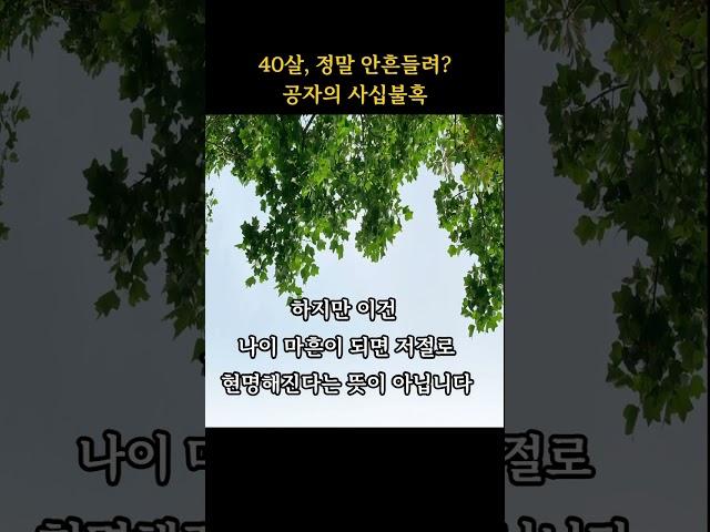 40살이 되면 정말 흔들리지 않을까? 공자가 말한 진짜 어른의 조건 #공자 #사십불혹 #동양철학 #명언 #인생조언 #쇼츠