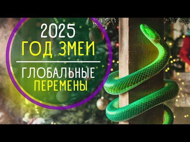  СИМВОЛ 2025 года: год ЗМЕИ. Как встретить и Что важно знать!