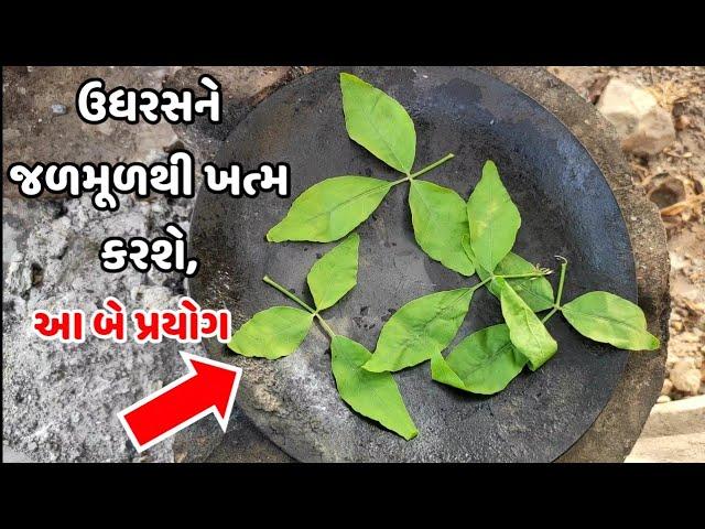 ઉધરસને જળમૂળથી ખત્મ કરો માત્ર આ બે પ્રયોગ વડે.