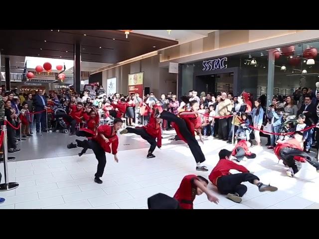 Shaolin Kung Fu Performance at Ontario California