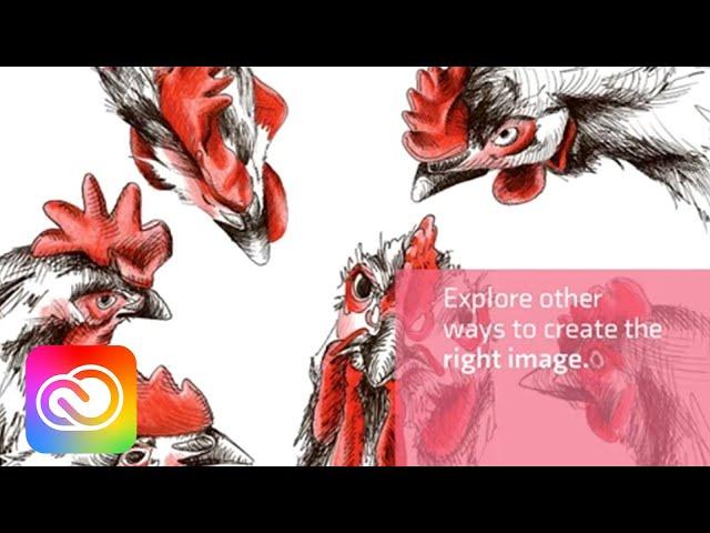 10 Design Basics for Teacher Presentations with Maureen Belaski | Adobe for Education | Adobe