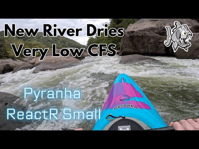 Pyranha ReactR Small || Low Water NRG Dries