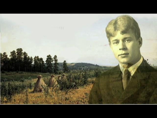 Сергей Есенин "СУКИН СЫН". Читает Владимир Ионченков