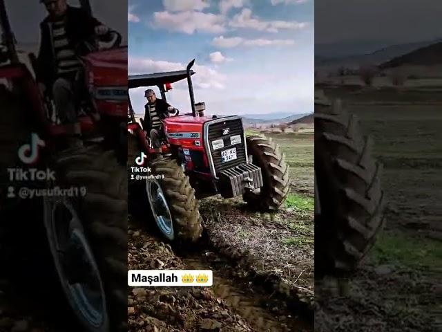 MF 398 #masseyferguson #mf398 #massey #çiftçi #çiftlik