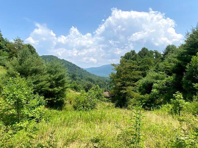 Hiking and Sharing beautiful backwoods Appalachia by our Homestead