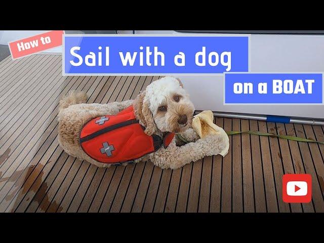 Ep 9. Sailing with a dog on board