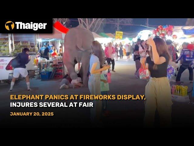 Thailand News : Elephant Panics at Fireworks Display, Injures Several at Fair