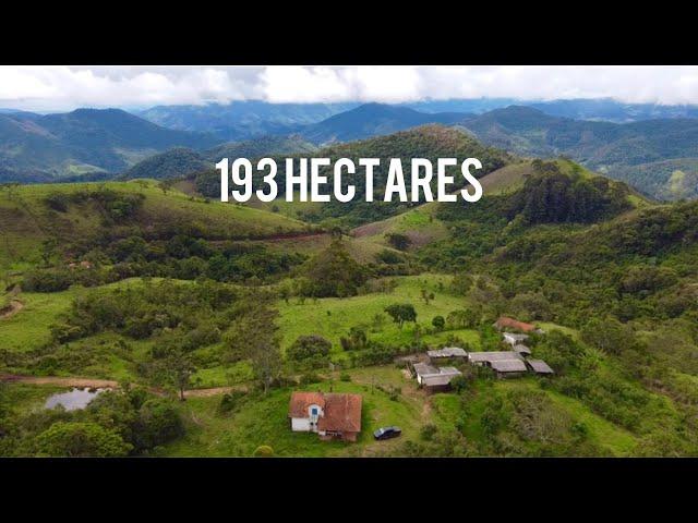 FAZENDA A VENDA  EM DELFIM MOREIRA - MG R$  -- 26.000,00 O HECTARE