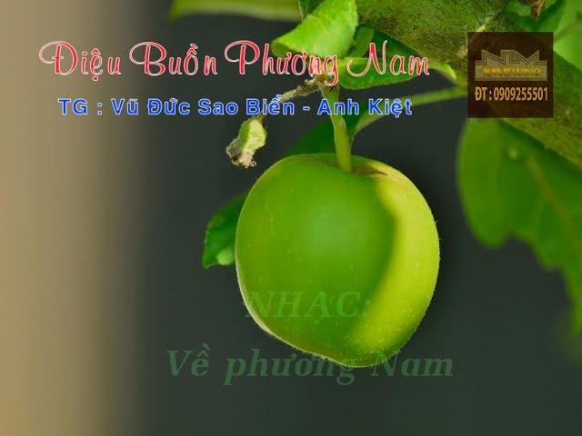ĐIỆU BUỒN PHƯƠNG NAM | Karaoke | Tập Hát Vọng Cổ | Beat Vọng Cổ | Dây Đào (Re)