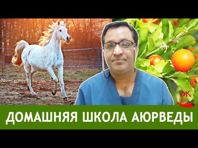 КАК ПОЛУЧИТЬ ЭНЕРГИЮ И ТОНУС #Ашваганда - целебное растение из Аюрведы