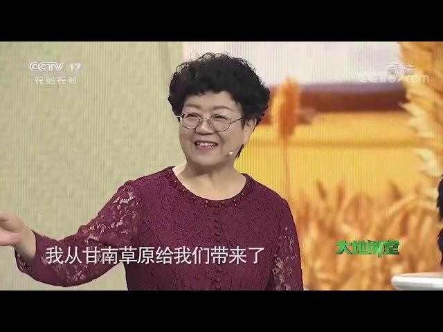 《大地讲堂》 20200927 科技扶贫——坚守一辈子的牦牛妈妈|CCTV农业