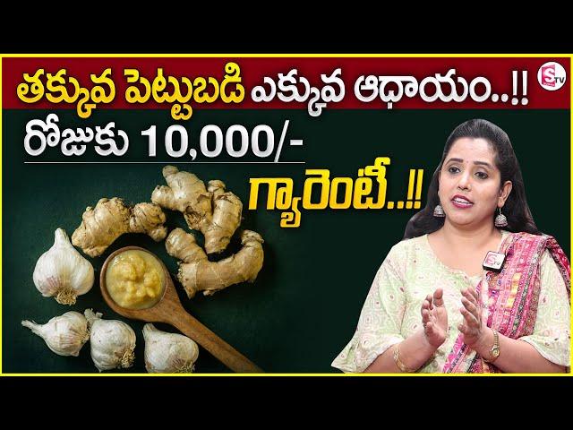 Ginger Garlic Paste Making Business | 100% Pure Ginger Garlic Paste Making Process | Business | MW