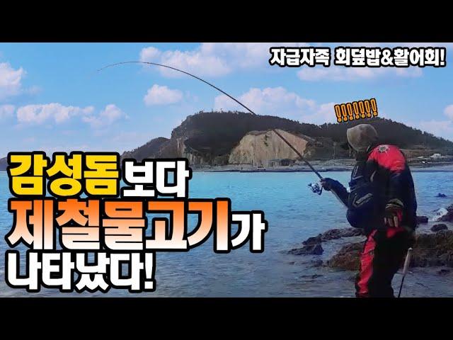 겨울숭어 지금이 제철이네요.숭어 회덮밥 개꿀! [캠낚세끼] / 추자도 낚시n캠핑 / caravan / camping car / Fishing / 캠핑카
