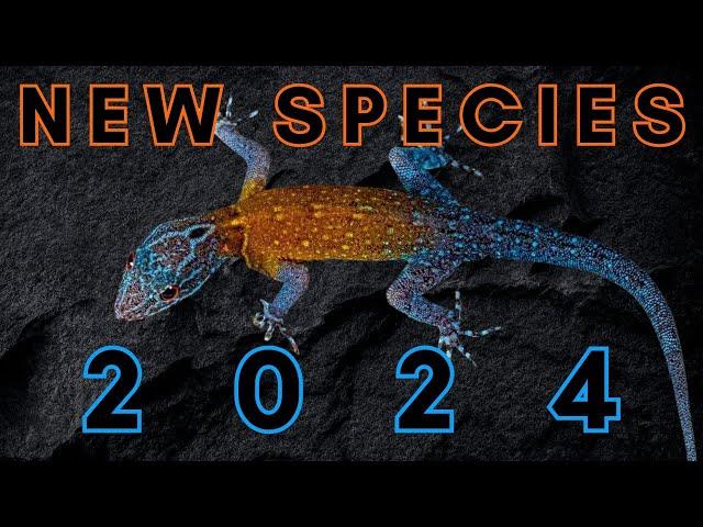 Newly Discovered in 2024 - 25 New Species