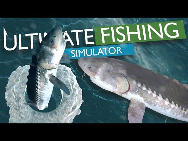 Ice Fishing Baikal Sturgeon in Ultimate Fishing Simulator!