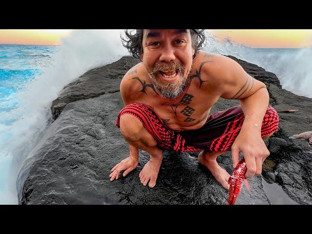 Harvesting Fish from a Hawaiians Backyard