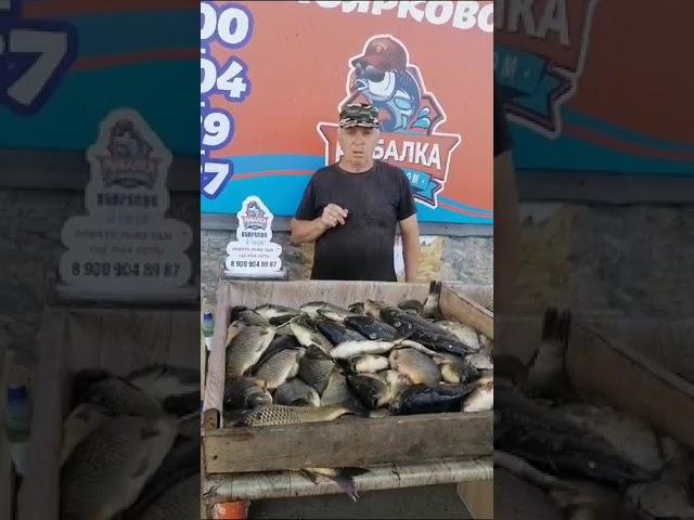 50 кг из Поярково