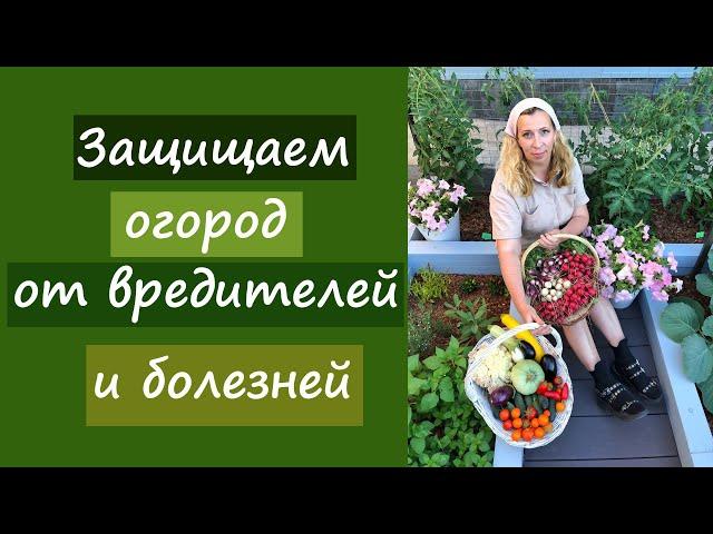 Защищаем огород от вредителей и болезней