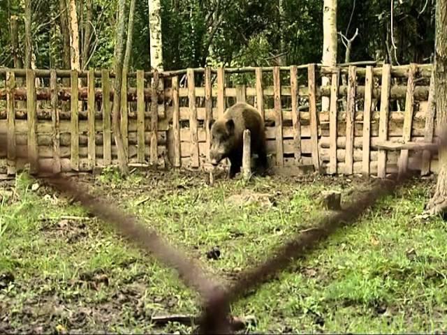 Костромская Сельскохозяйственная Академия