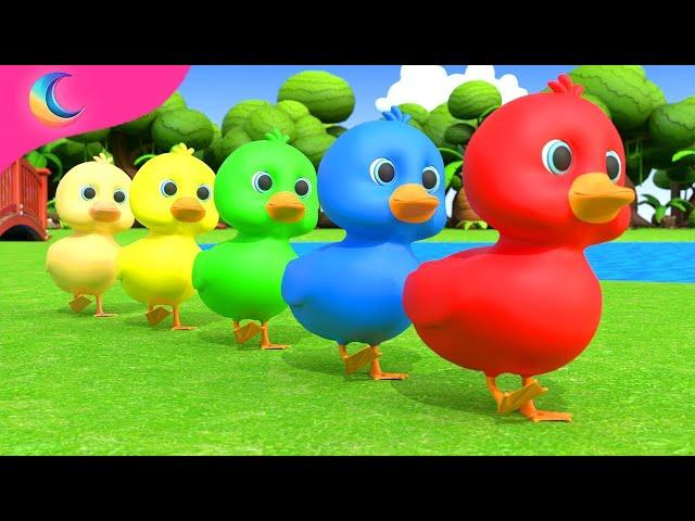 Five Little Ducks | Kids Songs | BluLoo Nursery Rhymes & Kids Songs