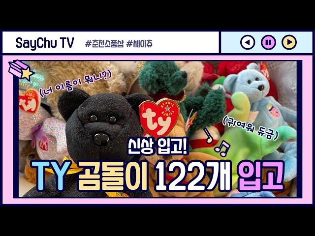 춘천 소품샵 세이츄TY Beanie babies bear 티와이 베어 122개 입고이것이 곰돌이 하울?!