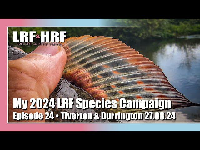 Episode 24: My 2024 LRF Species Hunt - Tiverton & Durrington