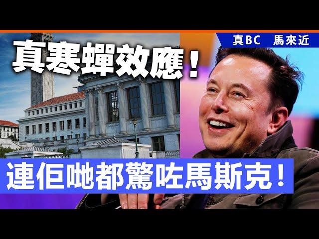 20241127A 真寒蟬效應 ！連佢哋都驚咗馬斯克！