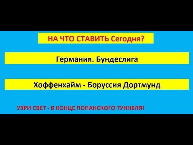 Программа для ставок на футбол / Германия Бундеслига Хоффенхайм Боруссия Д /Прогноз на тотал больше
