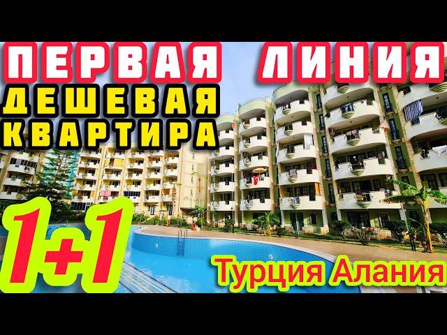 ПЕРВАЯ ЛИНИЯ ОЧЕНЬ ДЕШЕВО квартира в Алании НА МОРЕ недвижимость в Турции