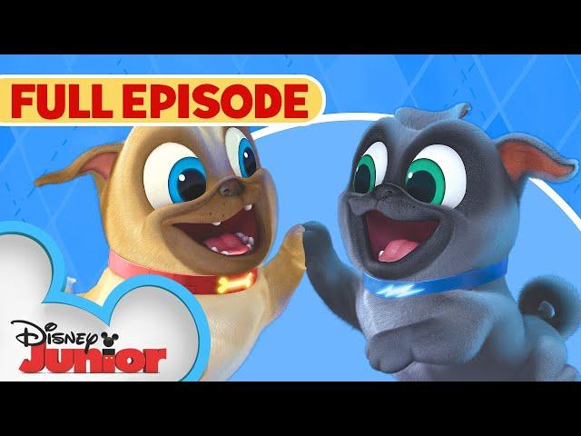 Puppy Dog Pals First Full Episode  | Hawaii Pug-Oh ️ / A.R.F. | @disneyjr​