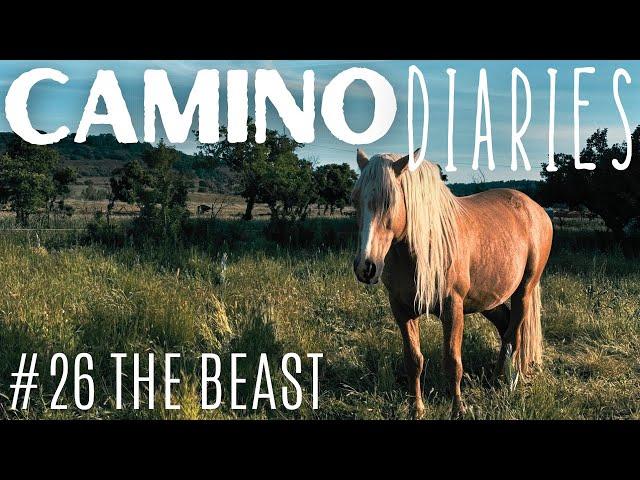 The Beast: Camino Diaries #26