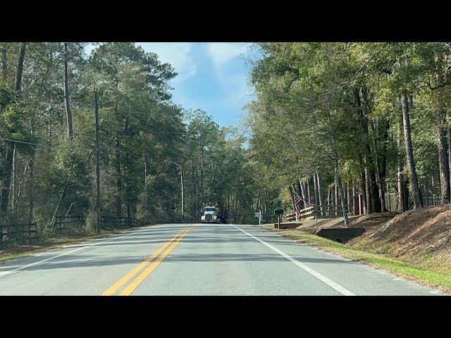 Small Town Of Scotland, Florida - Scenic Forest Of The Florida Panhandle 