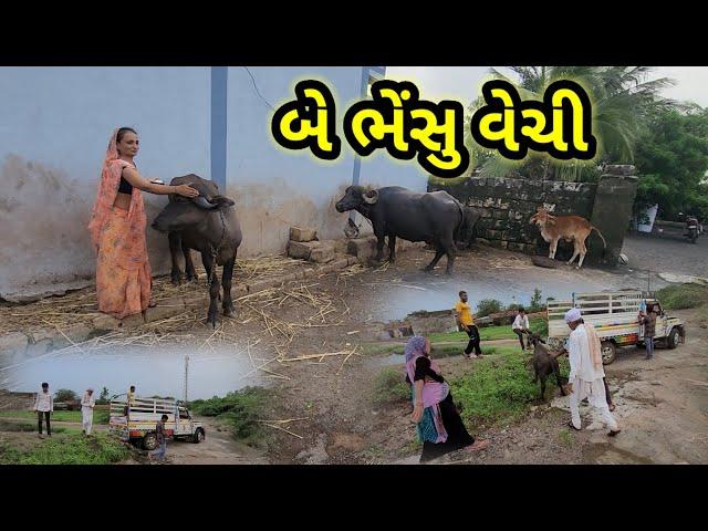 બે ભેંસુ વેયચિયુ || Village life