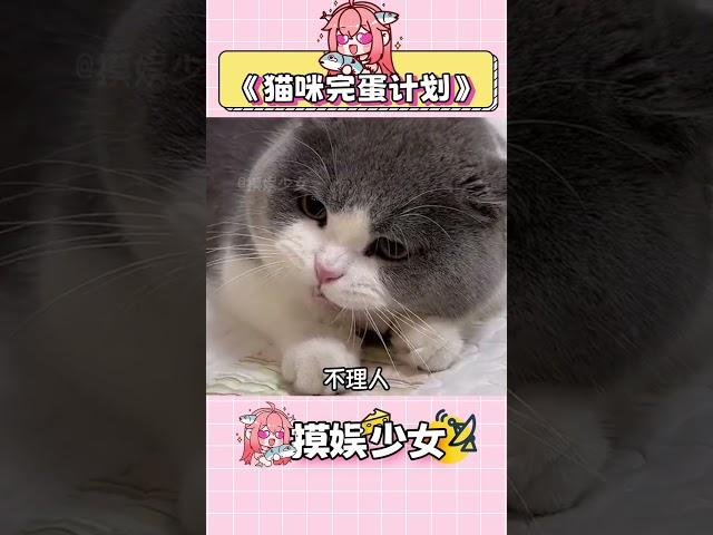 貓咪：再也不出去玩了 #貓咪 #貓咪日常 #萌寵  #養貓人 #搞笑