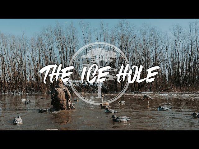 Duck Hunting- GIANT Groups of Teal in The ICE HOLE