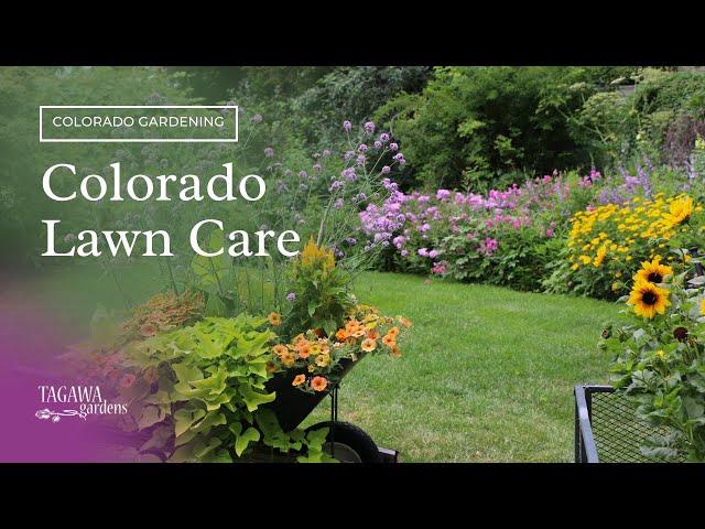 Colorado Lawn Care