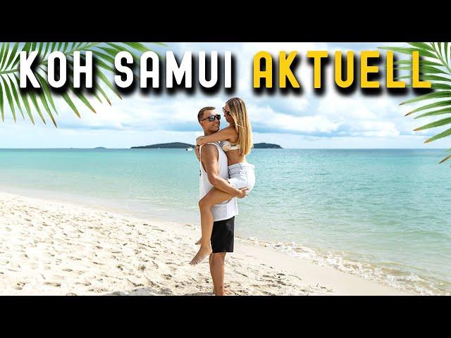 Aktuelle Lage KOH SAMUI Thailand • Februar 2024 • Chaweng, Bophut & Lamai | VLOG 616