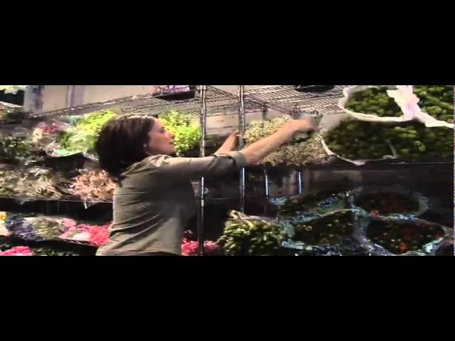 Flower Market New York City,  Celebrity Florist,  Design Tips | Iris Rosin