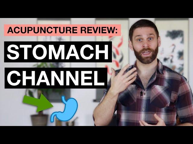 Points Review: Stomach Channel Acupuncture Meridian