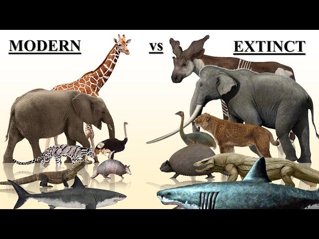 Prehistoric vs Modern Ancestor Animals Size Comparison